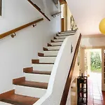 Suquette Charming Provencal House In With Terrace, Garden And Pool Access